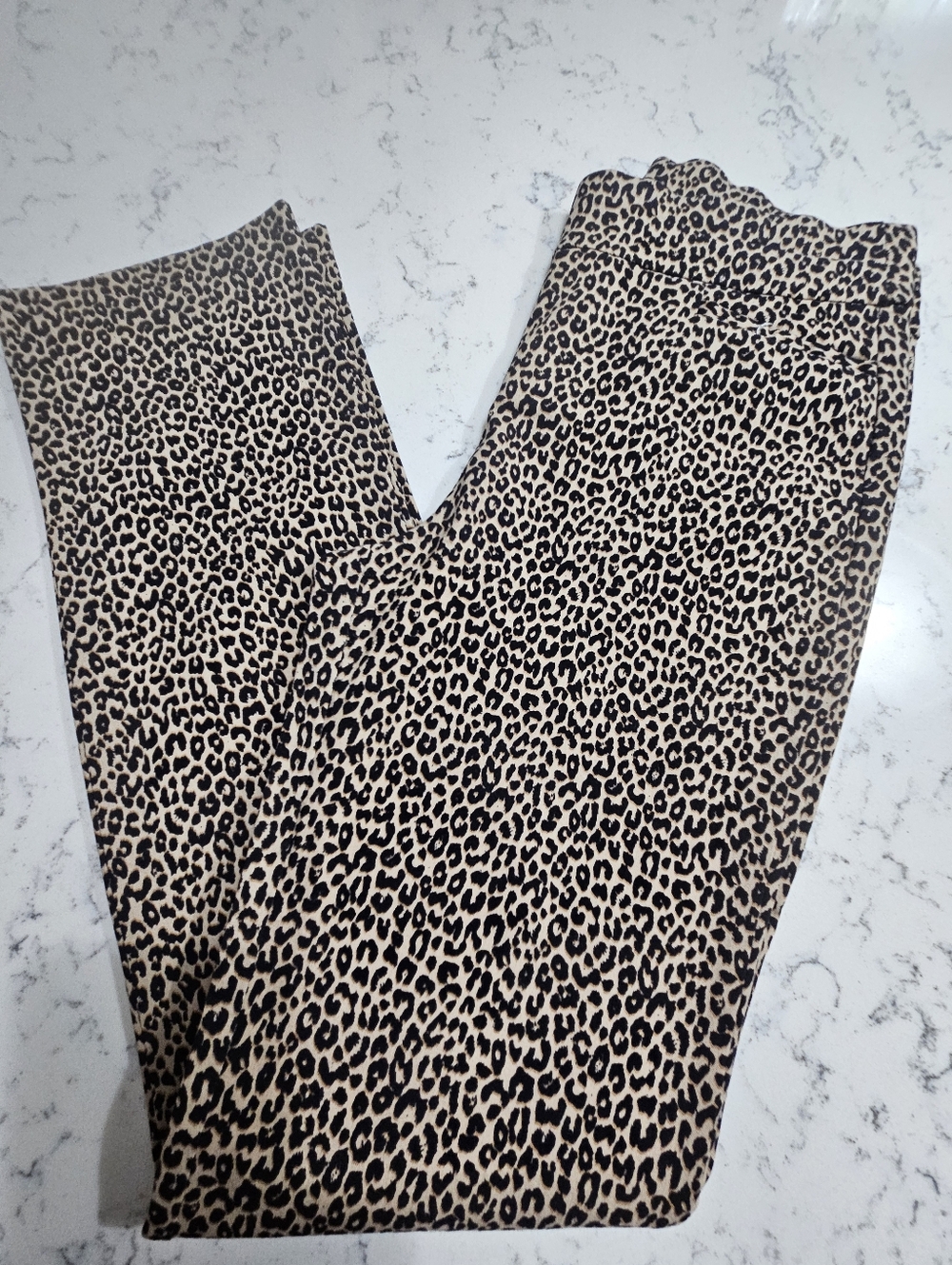 Chico's Leopard Print Pants Black & Tan